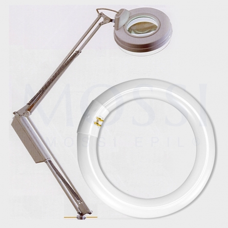 T9 Tubo circular fluorescente G10q, 22W, luz fria 6500K, 220-240V, 2100lm, 50Hz, 30 cm.